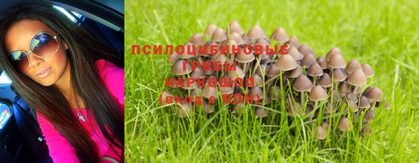 мет Богданович