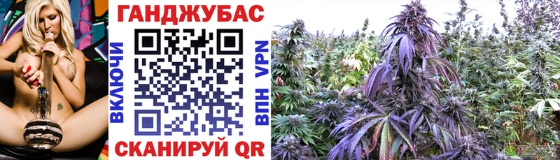 Купить где  Суворов  Шишки марихуана сатива 